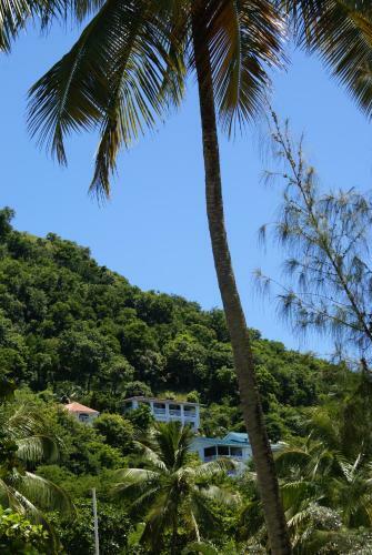 Lodge Palm Cottage