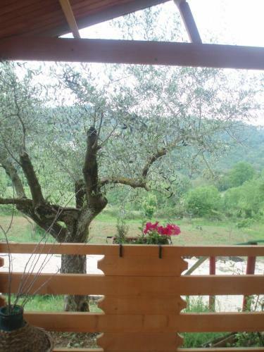 Hostal Agriturismo Cisogna