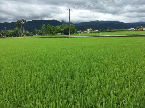 Yilan Real Fun Homestay