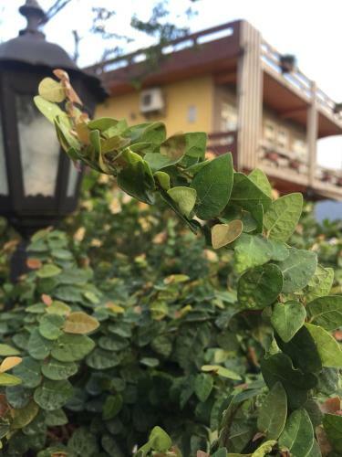 Yilan Real Fun Homestay