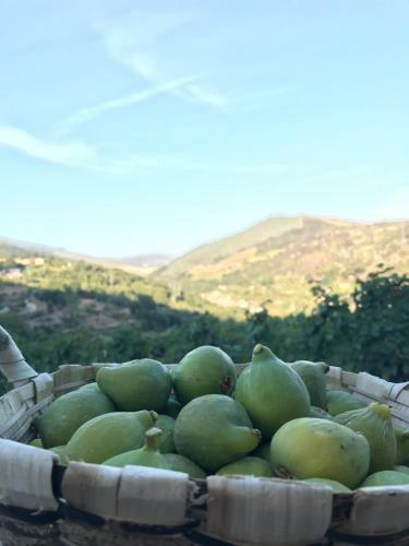 Agroturismo Private Douro- Quinta Das Susandas