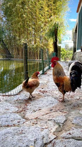 Agroturismo Private Douro- Quinta Das Susandas