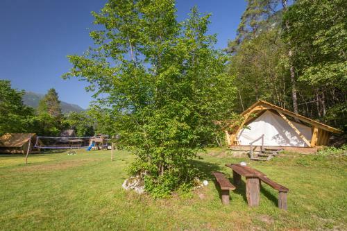 Adrenaline Check Camping