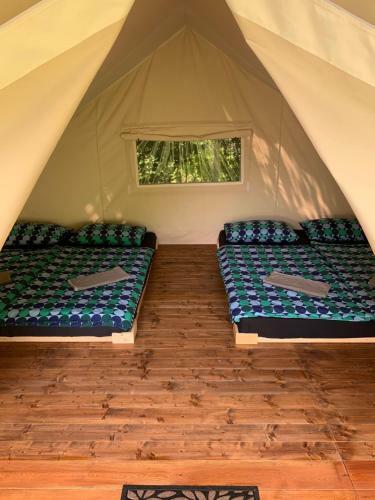 Adrenaline Check Camping