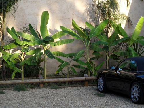 Apartamento Residence Veles Plage