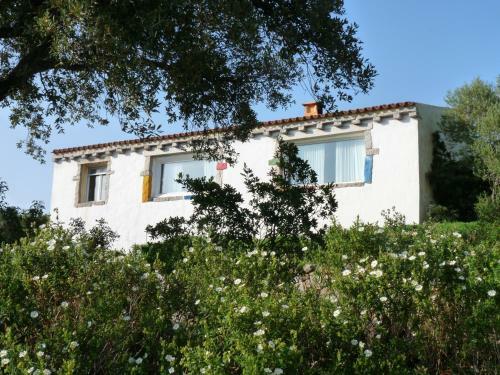 Bed And Breakfast La Scala