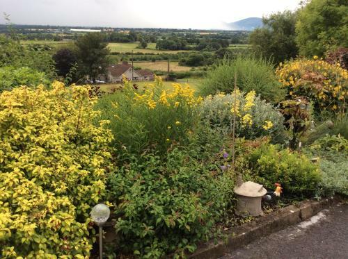 Bed & Breakfast Hollymount House