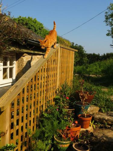 Borea Barn Vegetarian B&B