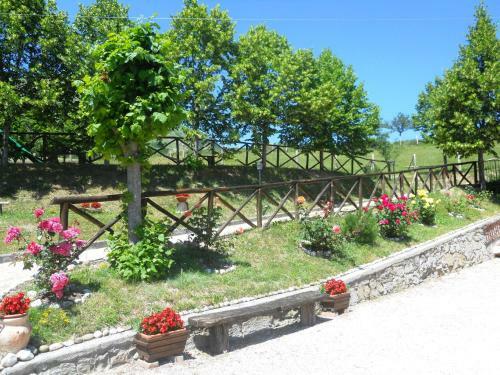 Agroturismo Agriturismo Le Castellare