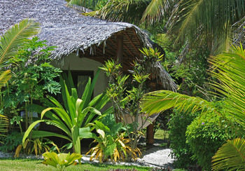 Hotel Paradise Cove Resort