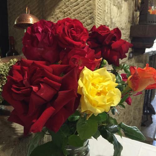 Hotel Albergo Stella