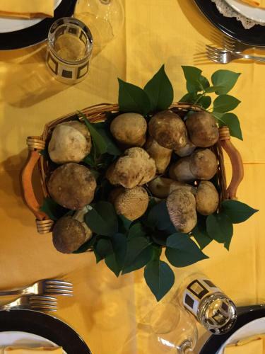 Hotel Albergo Stella