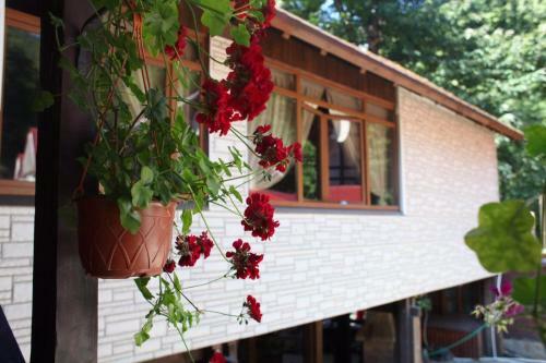 Hostal Kastana Hotel