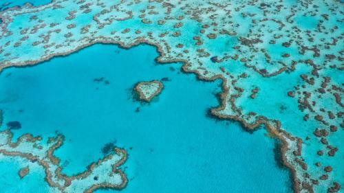Hotel One&only Hayman Island