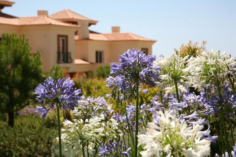 Hotel Monte Rei Golf & Country Club
