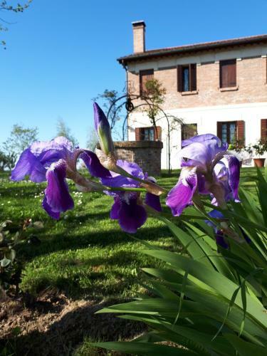 Agroturismo Barchessa Da Rio