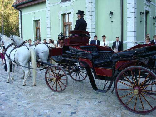 Hostal Penzi�n Zlat� Jele?