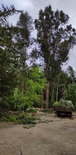 Agroturismo Quinta Sul America