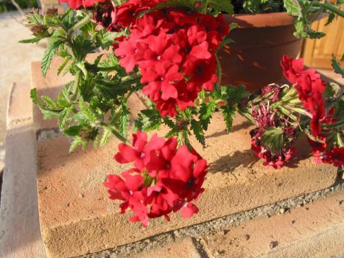 Apartamento Poggio San Giacomo