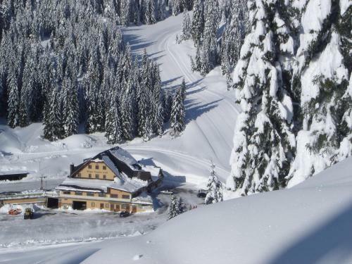 Hotel Rifugio Verenetta