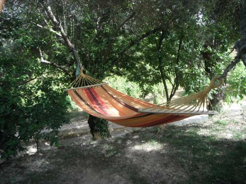 Agroturismo Quinta Da Penela