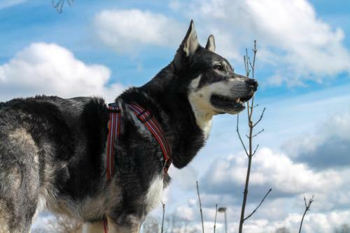 Agroturismo �devata Fiskecamp