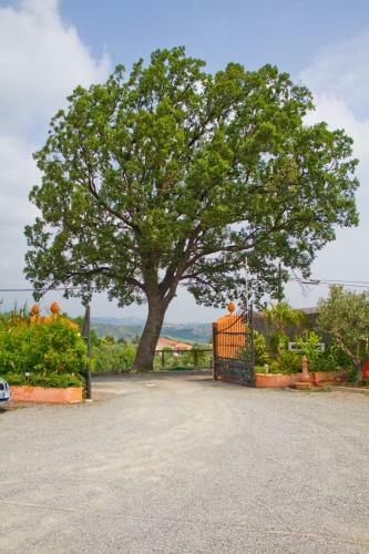 Agroturismo Albergo Arinde