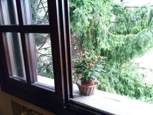 Bed & Breakfast Casa Irene