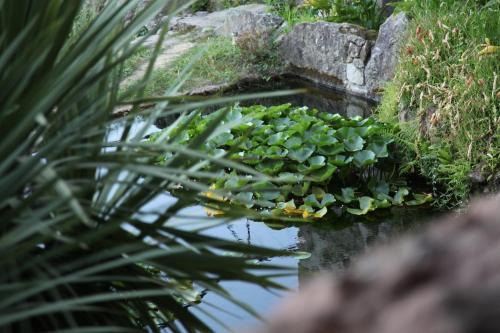 Bed & Breakfast Quinta Pedras De Baixo