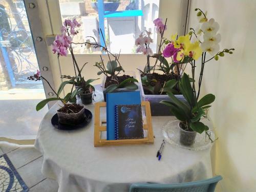 Hostal B&B Luna Blu