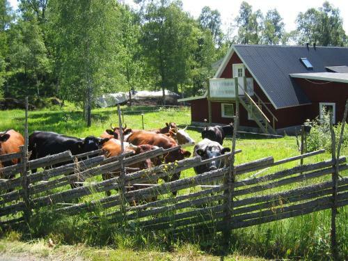 Agroturismo Cottage �laryd