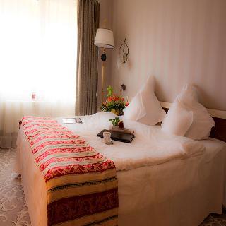 Hotel Prahova Plaza