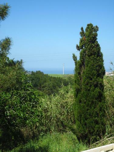 Agroturismo Quinta Das Alfazemas