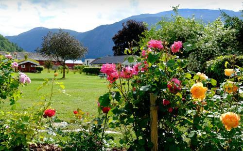 Dals�ren Camping