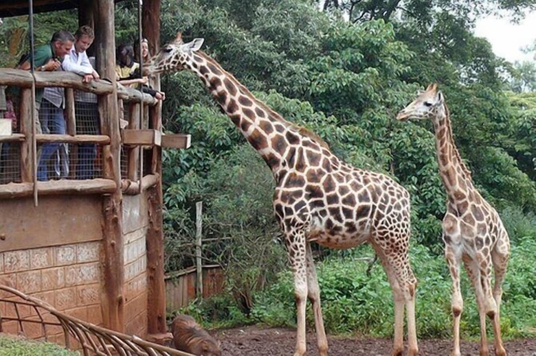 Hotel The Boma Nairobi