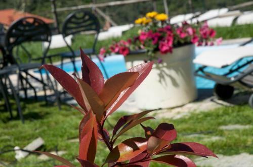 Apartamentos Giada Country House