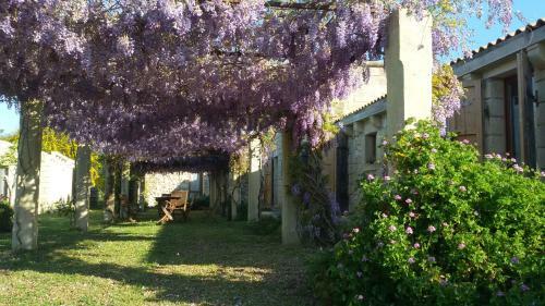 Agroturismo Masseria Copertini