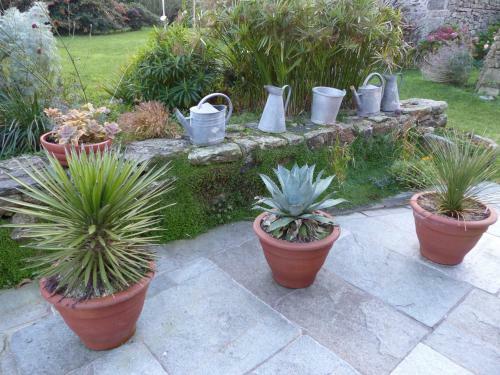 Bed And Breakfast Les Chambres