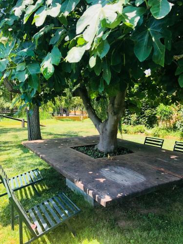 Agroturismo Yeguada Senillosa
