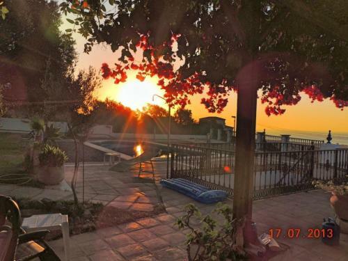 Carpe Diem De M�laga