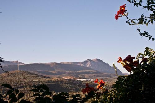 Agroturismo Casa Rural Montecillo Bajo