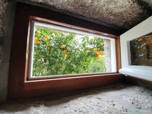 Agroturismo Quinta Do Sorilhal