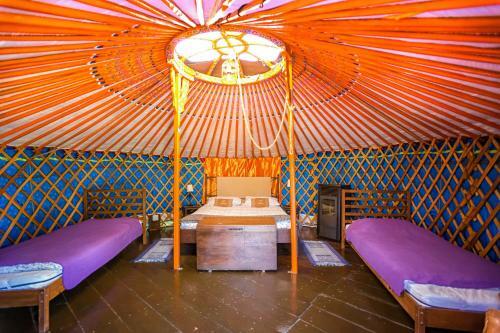Agroturismo Societ� Agricola Cacigolara