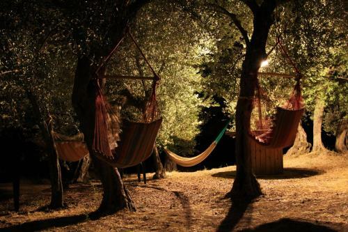 Bed & Breakfast Casale Millesoli