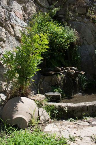 Agroturismo Paraiso De Gredos