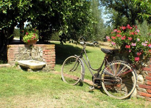 Agroturismo Agriturismo Il Sole Verde