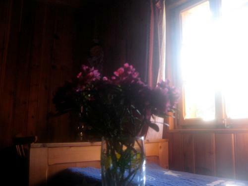 Almh�tte Gorgasser