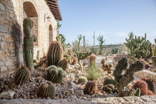 Relais Garden Cactus B&B