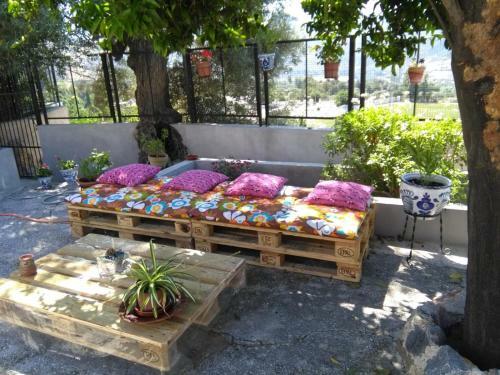 Huerta La Ni�a Arenas
