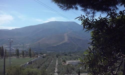Huerta La Ni�a Arenas